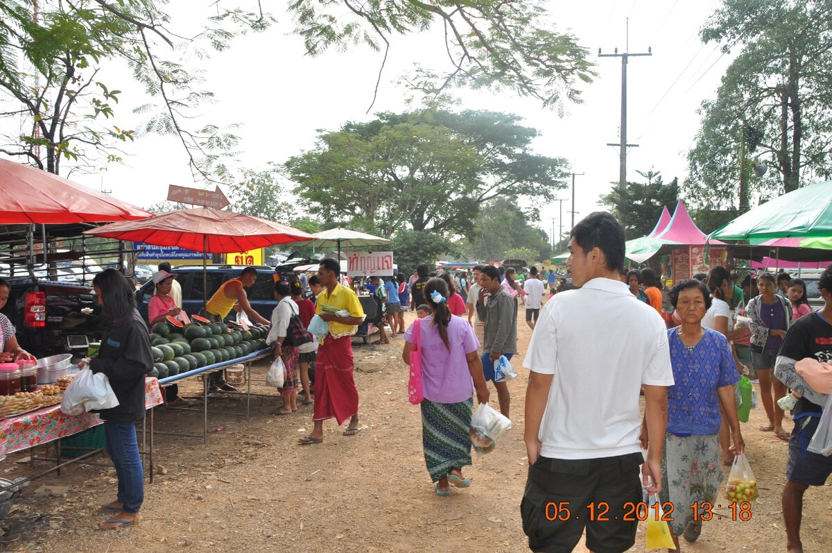 10 лет без урожая.