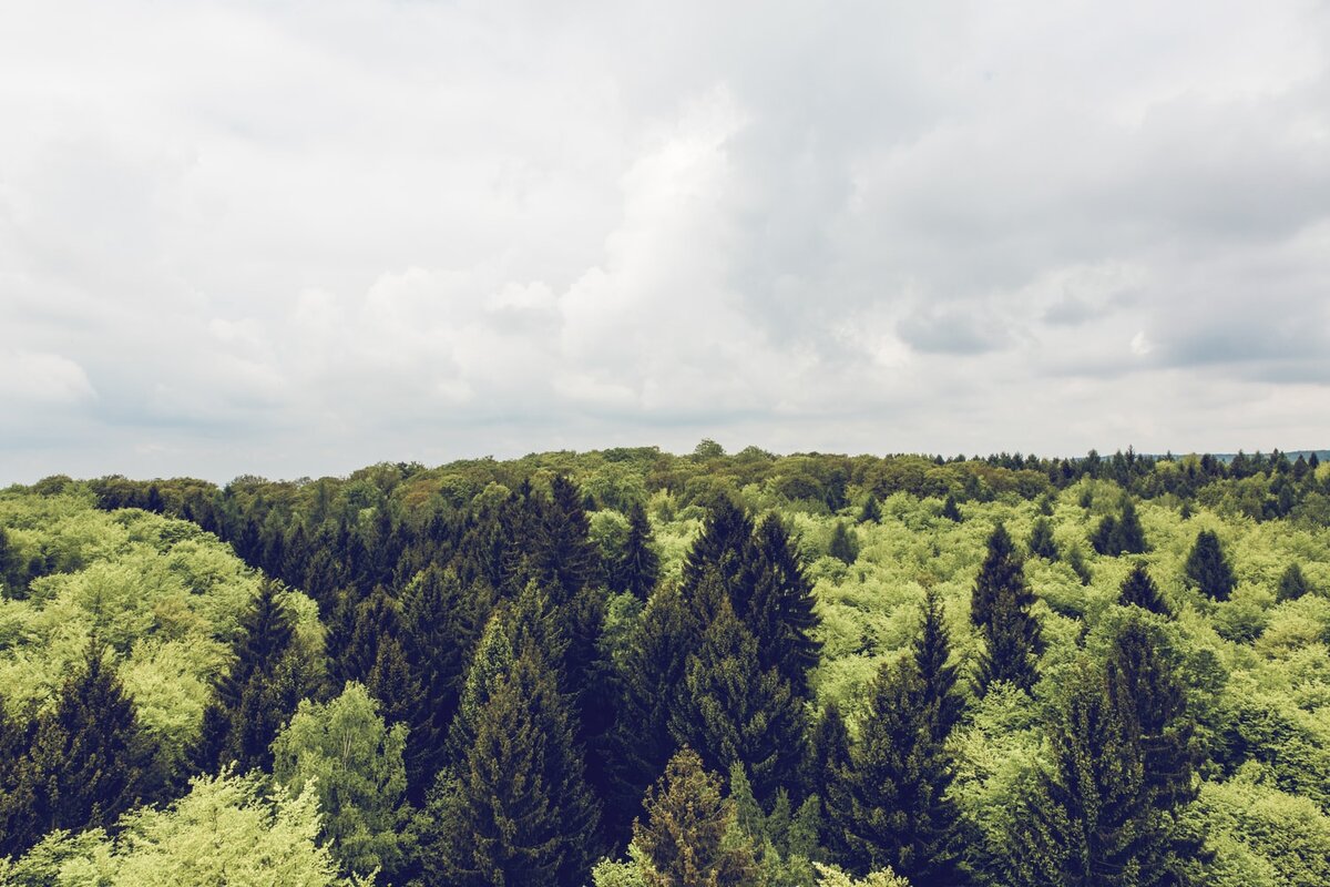 Baumwipfelpfad Steigerwald, Ebrach, Germany 