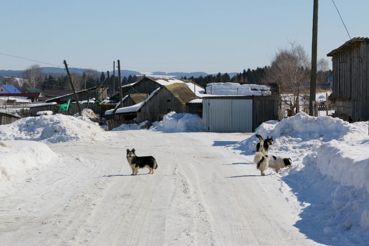 Село бабино