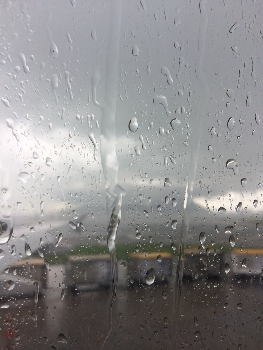 А эти фото я сделал на мобильный телефон конец 2016г выпуска