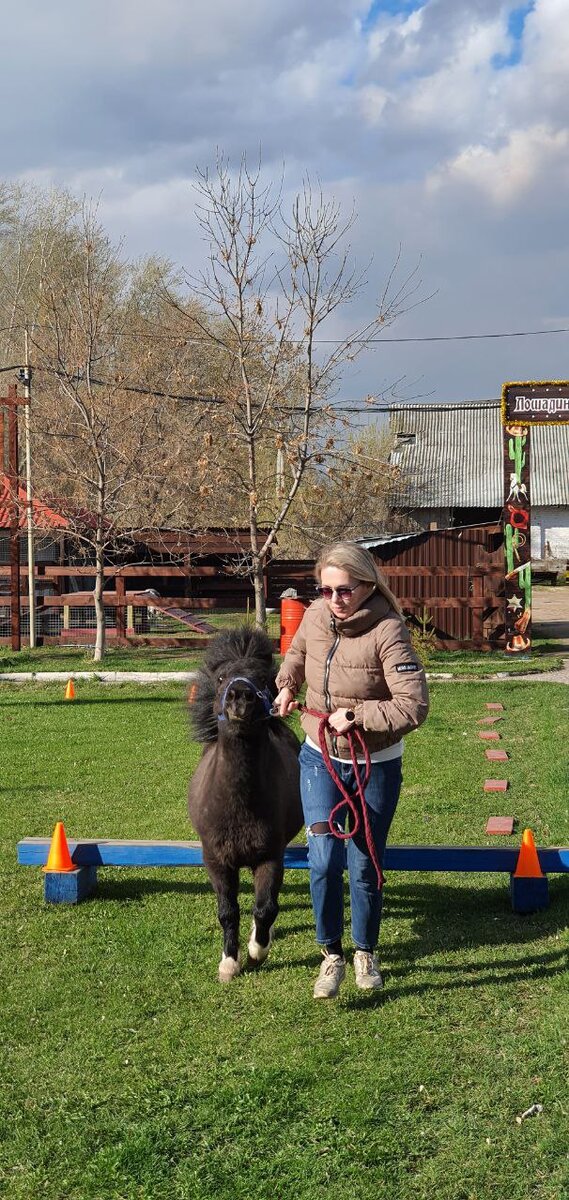 Упрямый поняш!