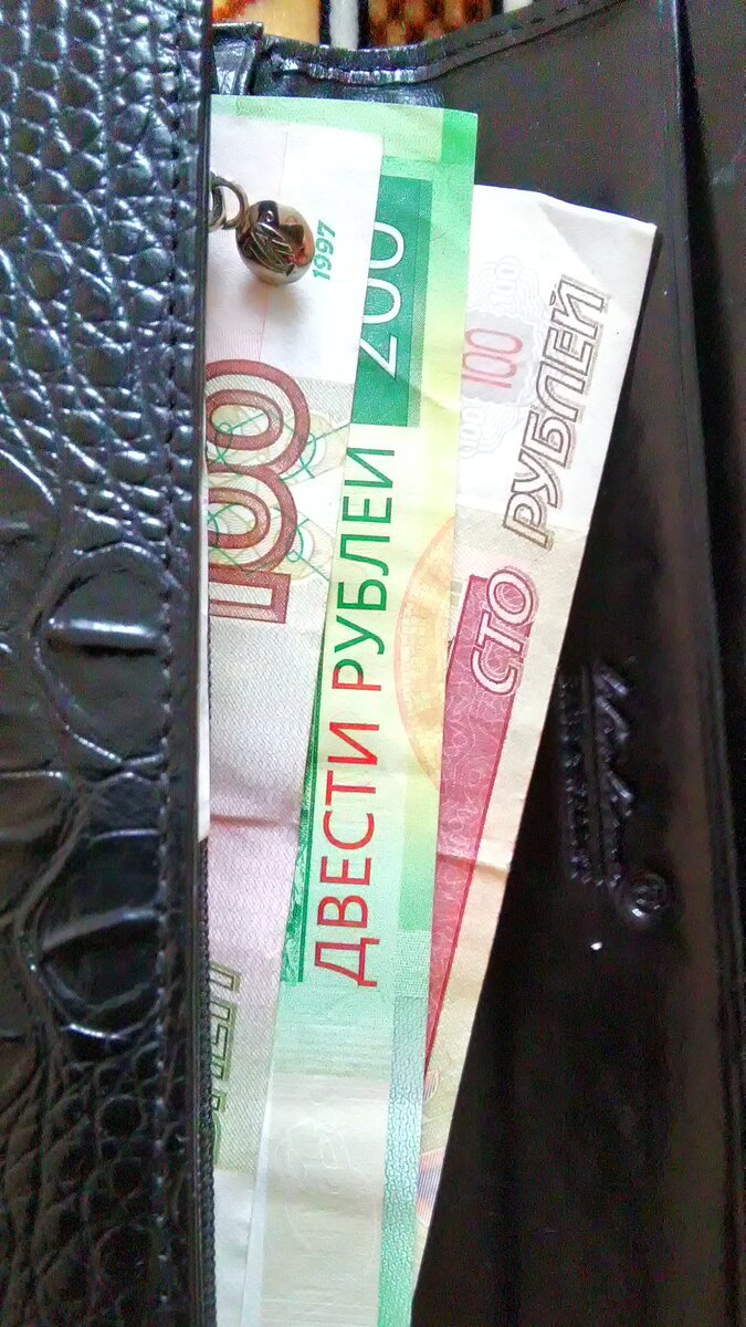 достойно жить поможет разумная экономия