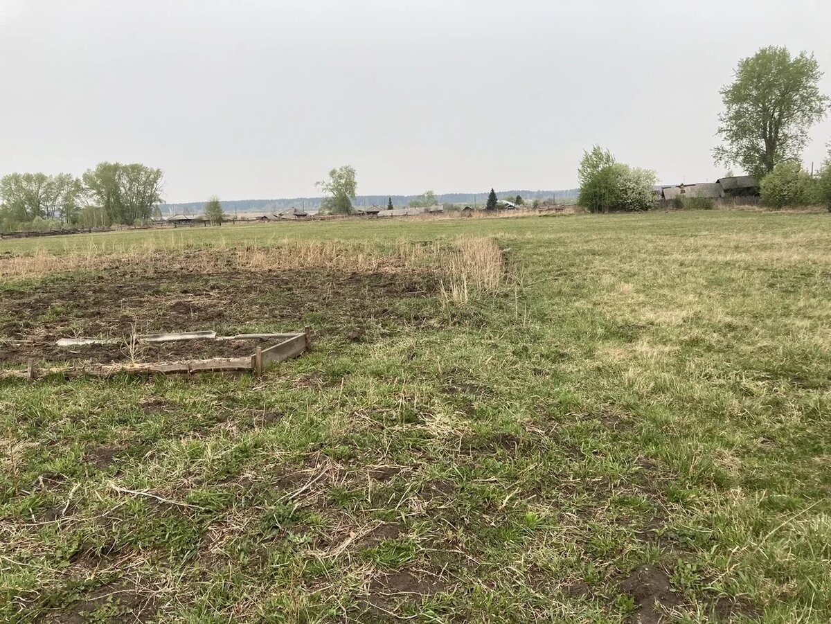 Сломанные грядки и вытоптанный огород