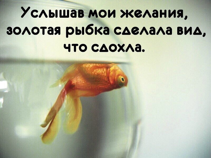 Картинки про желания
