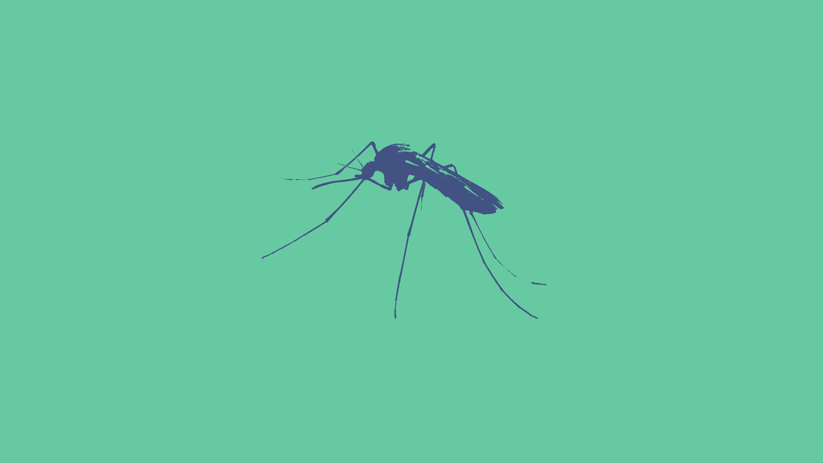 Пять простых домашних средств от укусов комаров