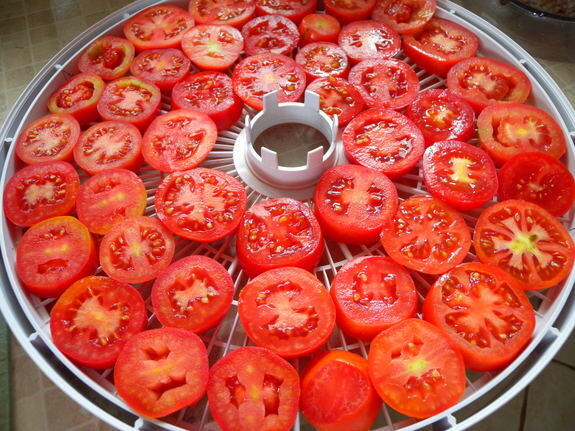 Изображение с сайта Яндекс Картинки