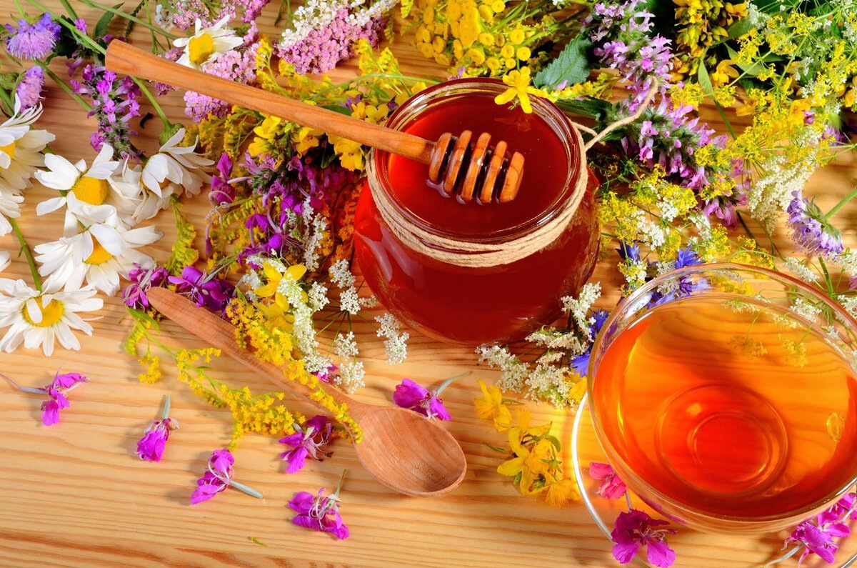 из свободных источников интернета