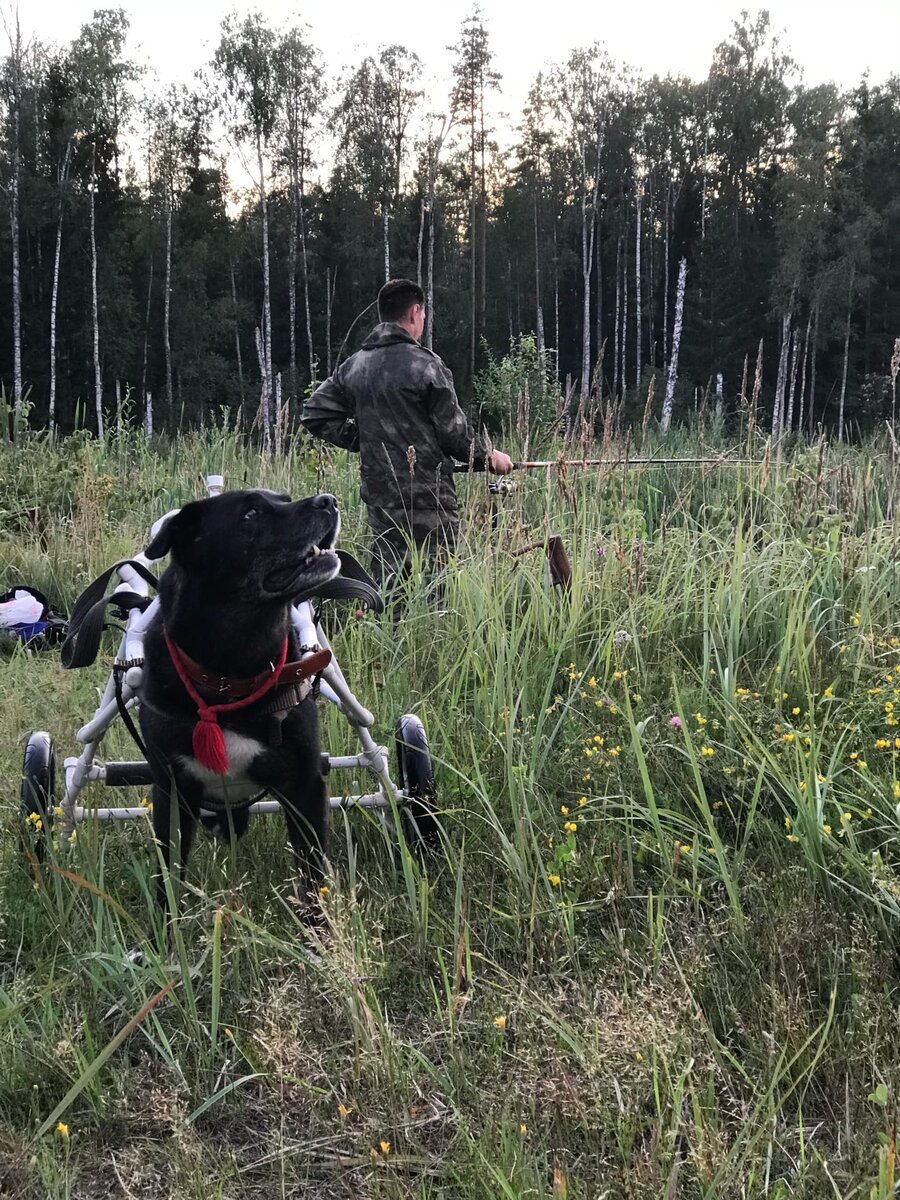 Богор на рыбалке, фото из социальной сети