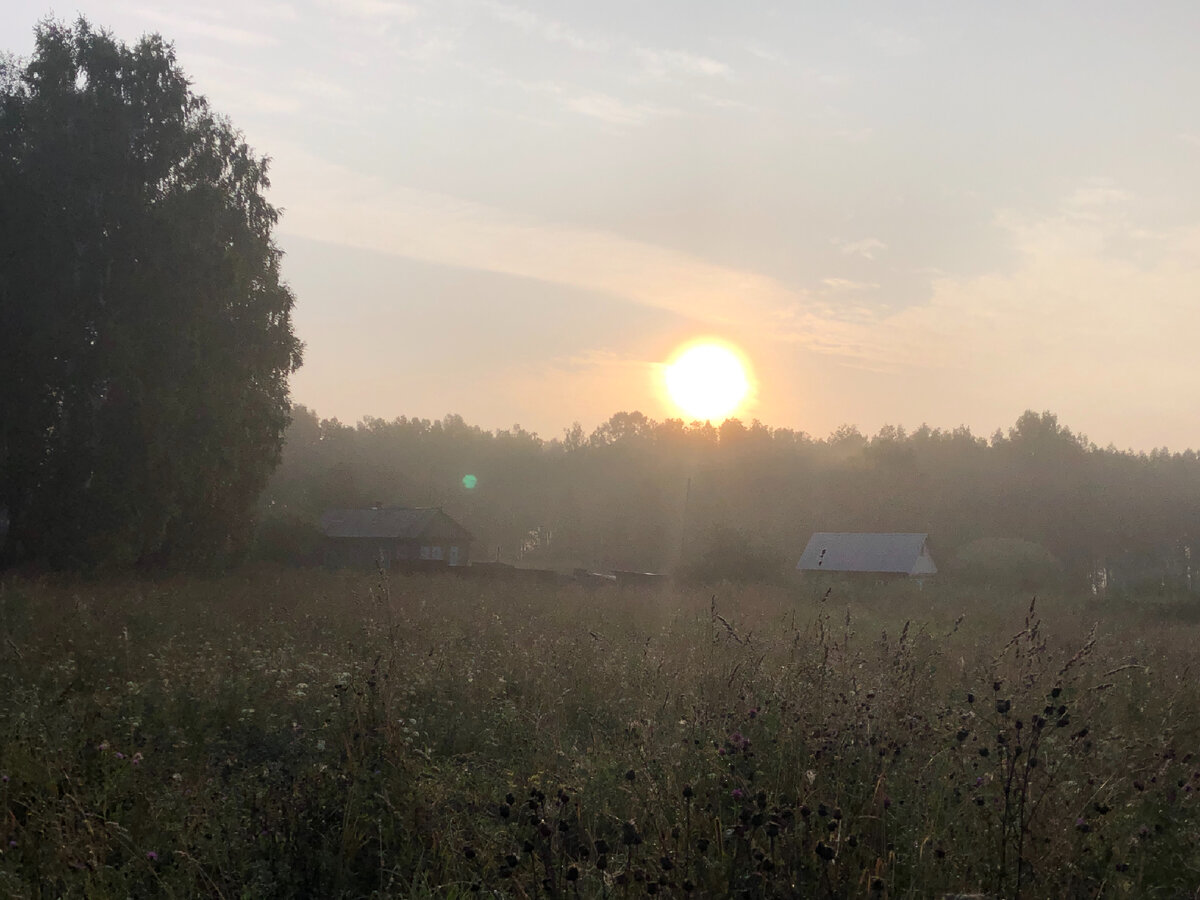 Рассветы были туманными. Фото автора