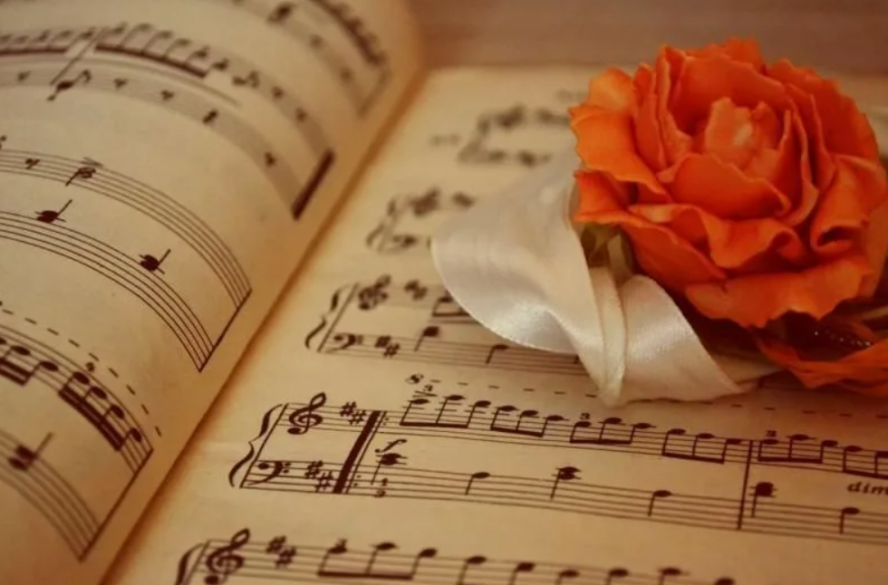 Яндекс картинки