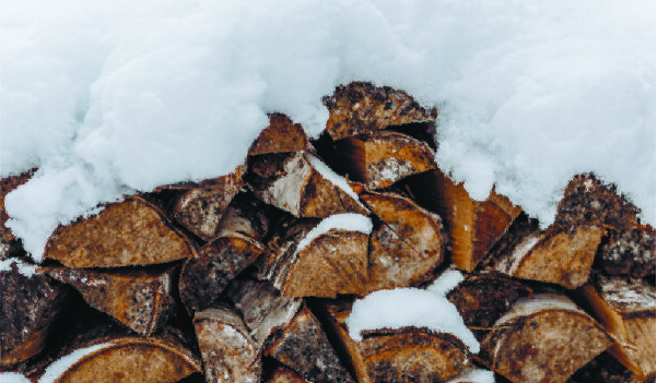 Фото скачано с сайта pexels.com