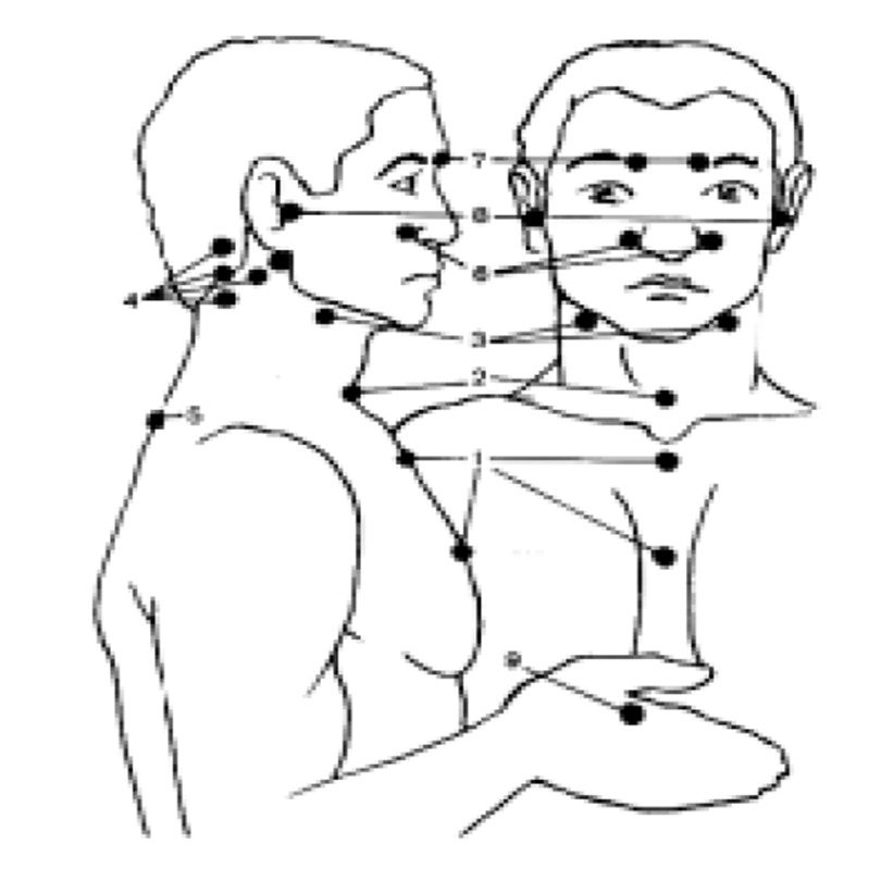 Рис.1. Влияние точечного массажа по А.А. Уманской на органы и системы