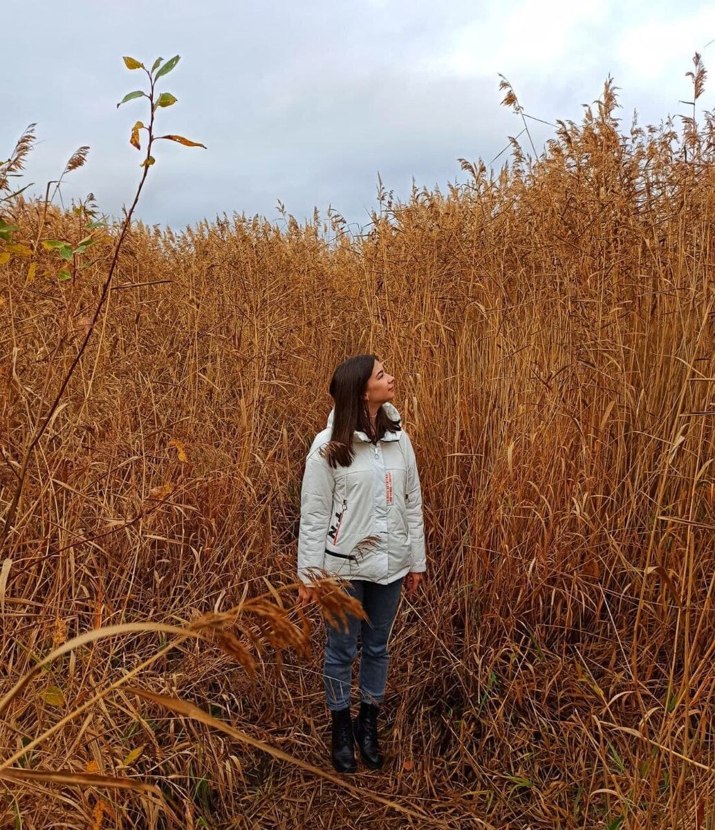 Котлинские камыши