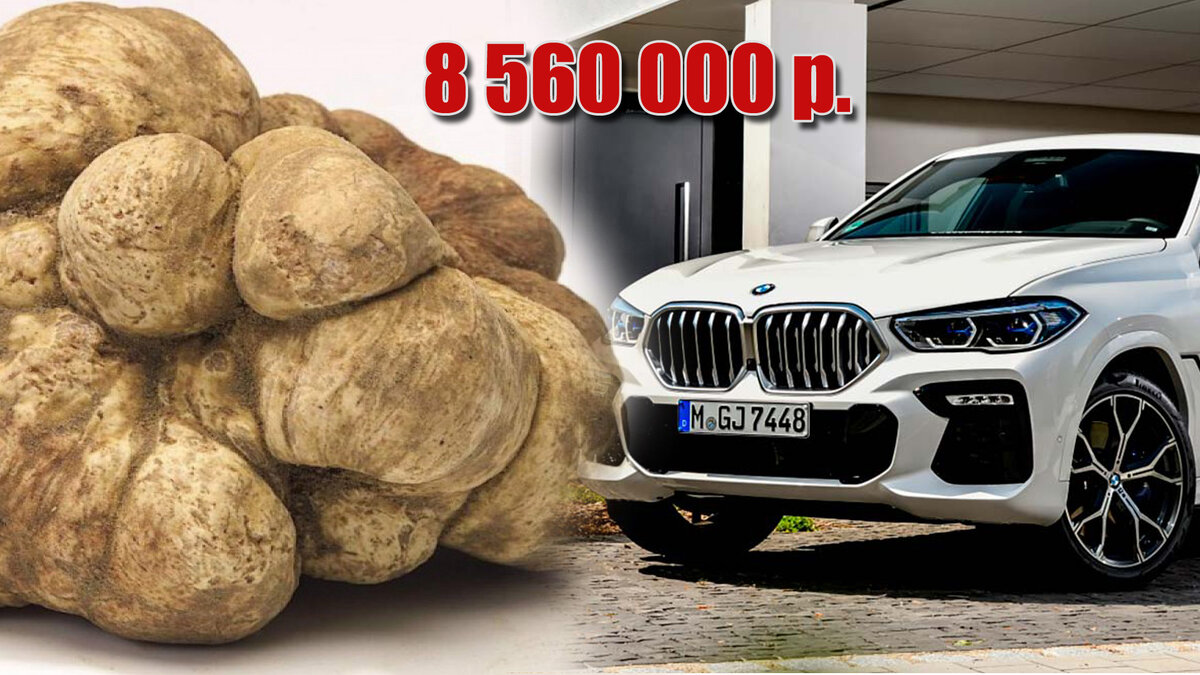 Что выбрали бы вы, будь у вас такие деньги?