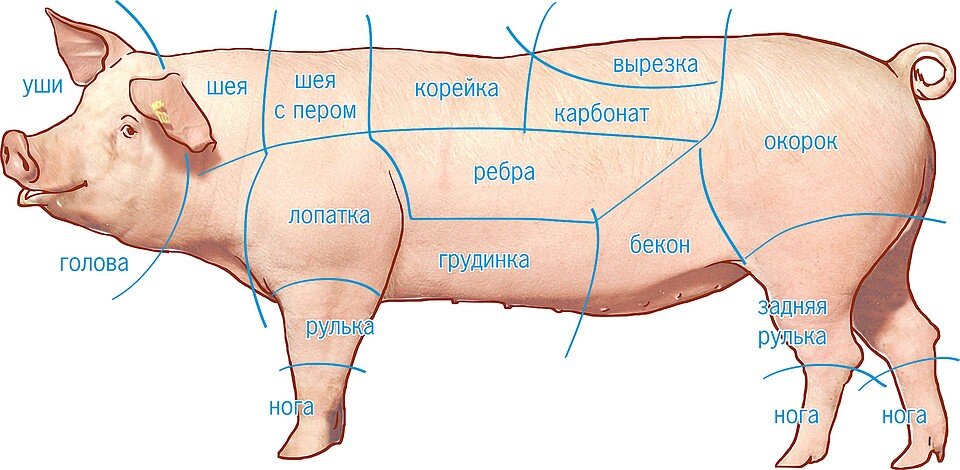 Топленый жир дикого кабана(смалец)