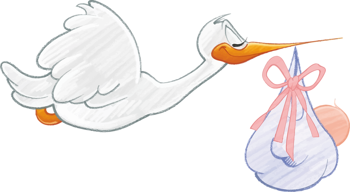 Изображение baby-g8d6491e2b_1280 с сайта Pixabay