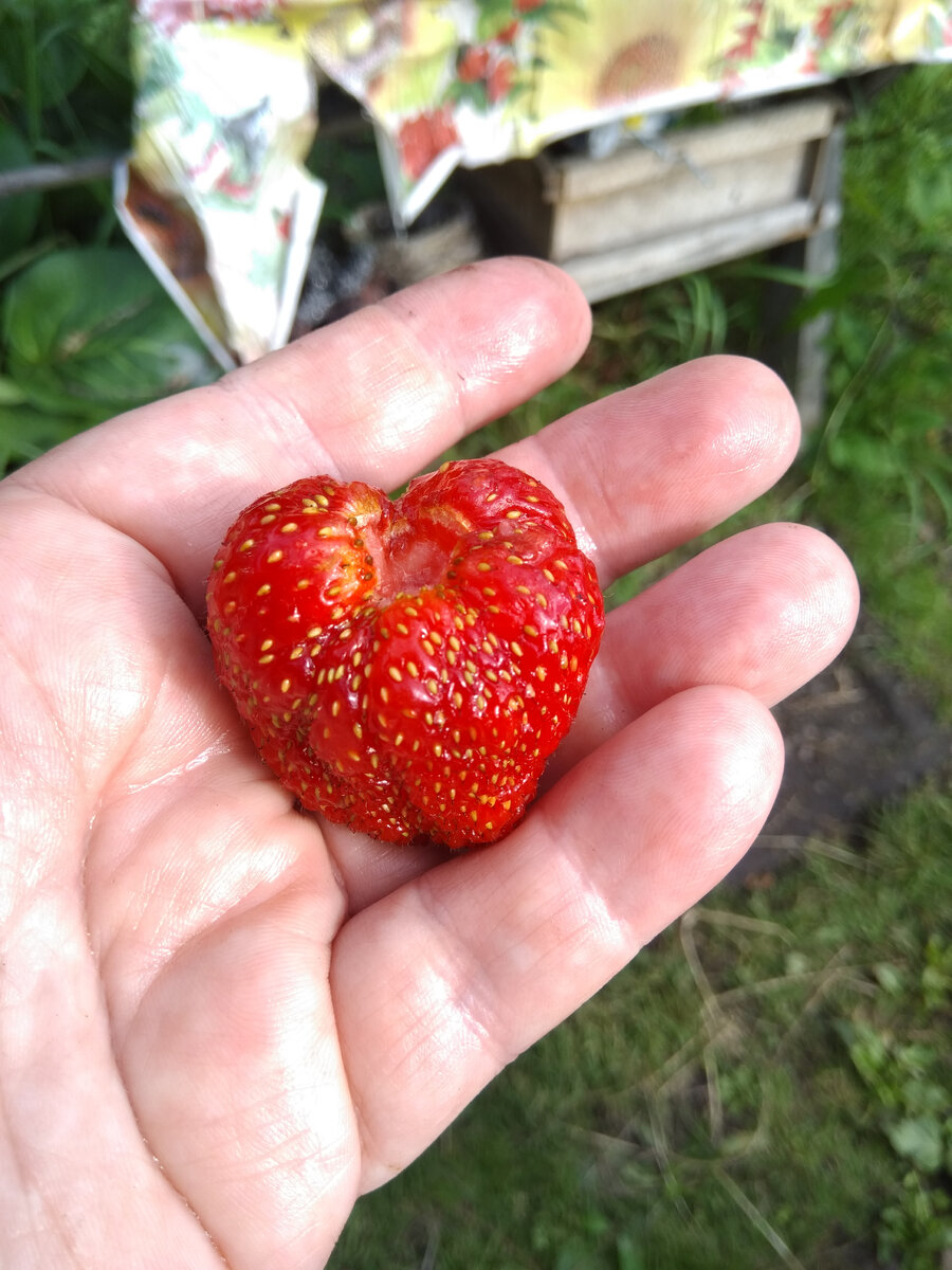 Фото автора. С открытым сердцем)