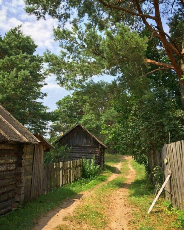 Фото Яндекс картинки 