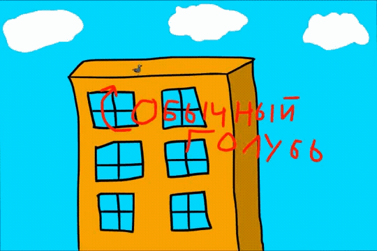 Ульяна, 12 лет. Сделала в GeekSchool многосерийный мультик про голубя Виталия.