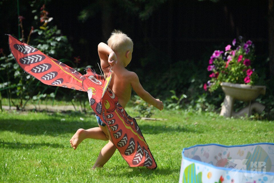     Ни жары, ни дождей. Рязанцам 31 июля и в первые дни августа обещают комфортную летнюю погоду. Владимир ВЕЛЕНГУРИН