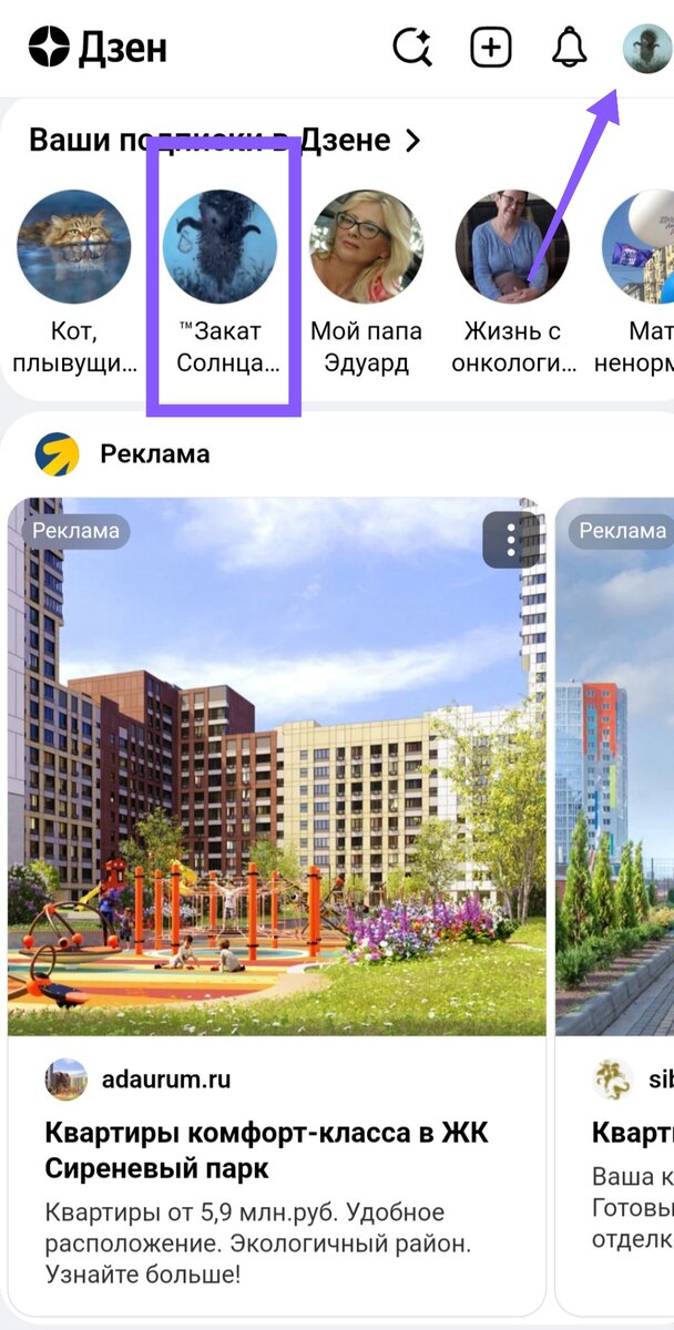 Мои подписки в ленте Дзена. Снимок экрана мой.