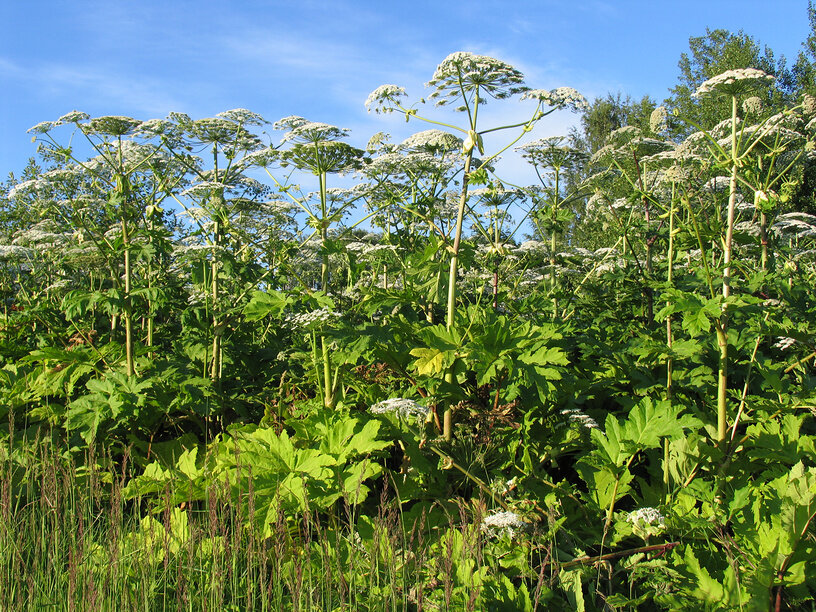 © Анатолий Заводсков / Фотобанк Лори