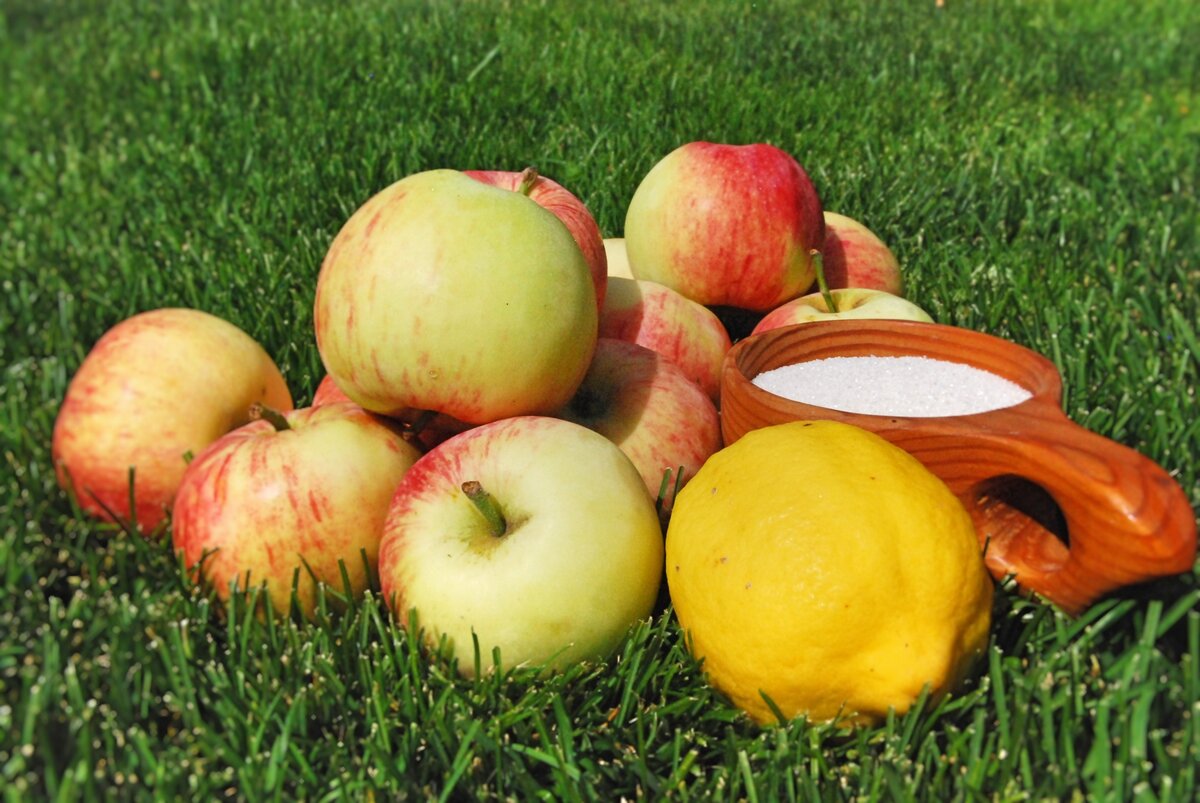 Ингредиенты для варенья из яблочных долек на зиму