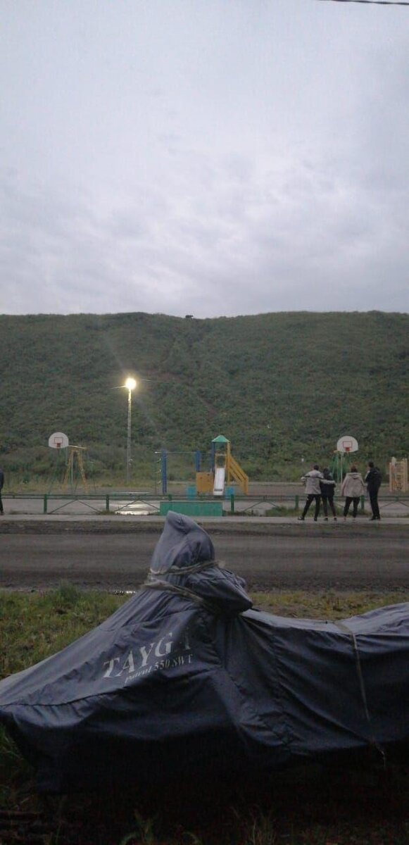 Огромный медведь несколько дней бродит на сопке возле Озерновского