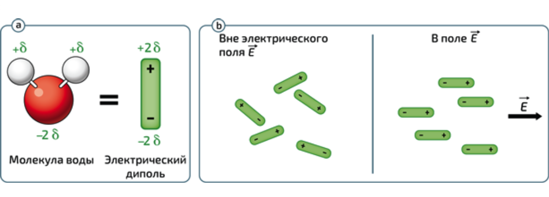 Схематическое представление молекулы воды H2O