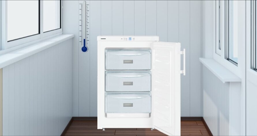 Незаменимым помощником в замораживании продуктов и запасов для дачников станет морозильная камера. Но что делать, если свободное место для неё есть только на чердаке и веранде с отключенным отоплением даже зимой? Для этого есть решение! 
Учитывая пожелания потребителей, инженеры LIEBHERR разработали морозильную камеру GP 1213, которая может работать при отрицательных наружных температурах воздуха. Она пригодна для установки на закрытой веранде, застеклённом балконе или в подвале. Внутри устройства температура не будет изменяться как в жаркий, так и в морозный день.Ю