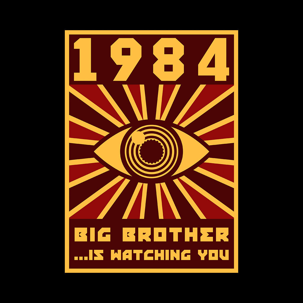Фраза "Большой Брат смотрит за тобой"  пришла из романа Джорджа Оруэлла 1984.