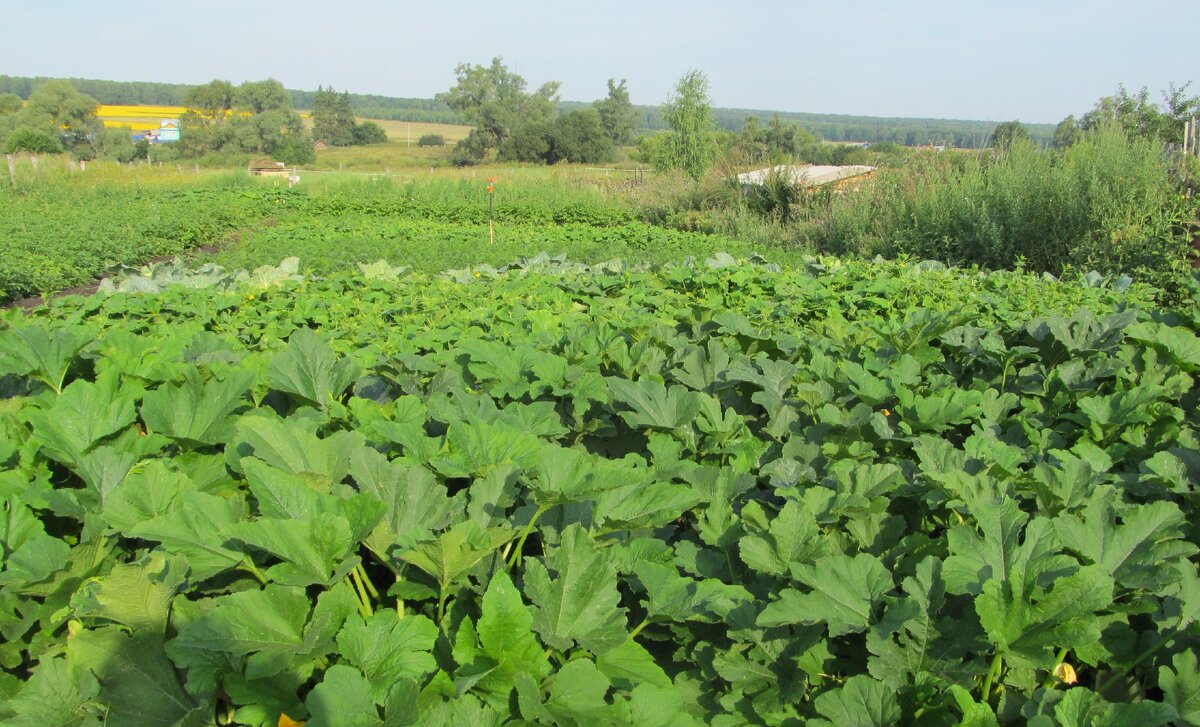 Марковка луганская область