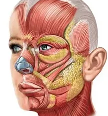 фото из поисковой системы