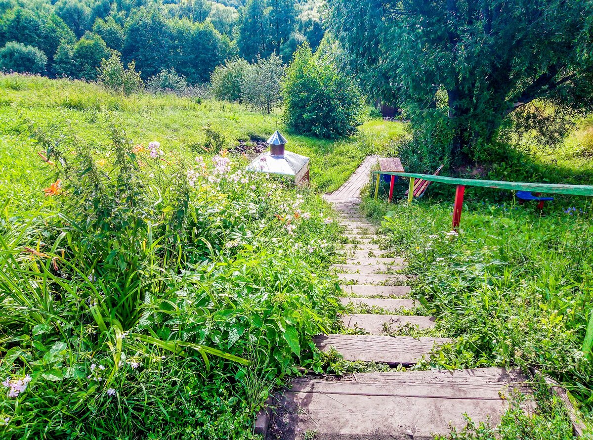 Святой источник с родниковой водой. Местные везут оттуда воду машинами |  Прекрасное рядом | Дзен