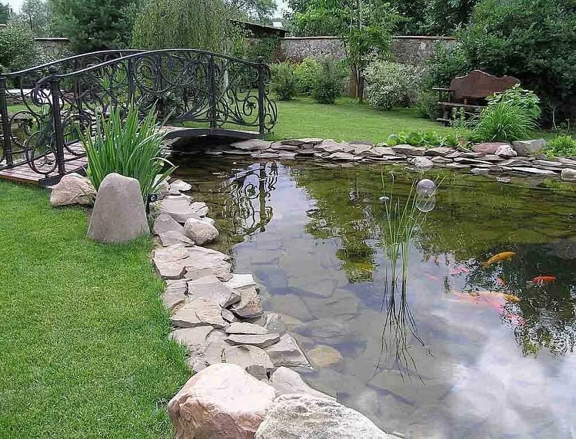 Пруд с мостом