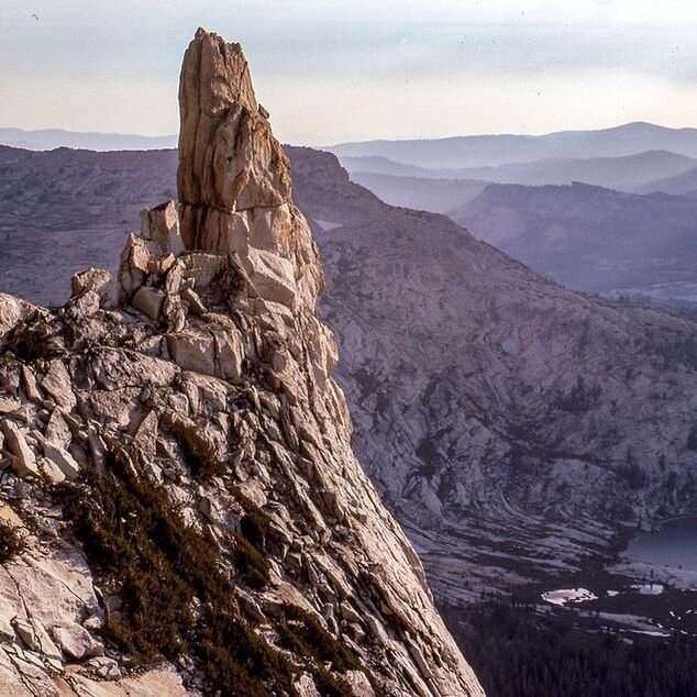 В США медведи на каждом шагу