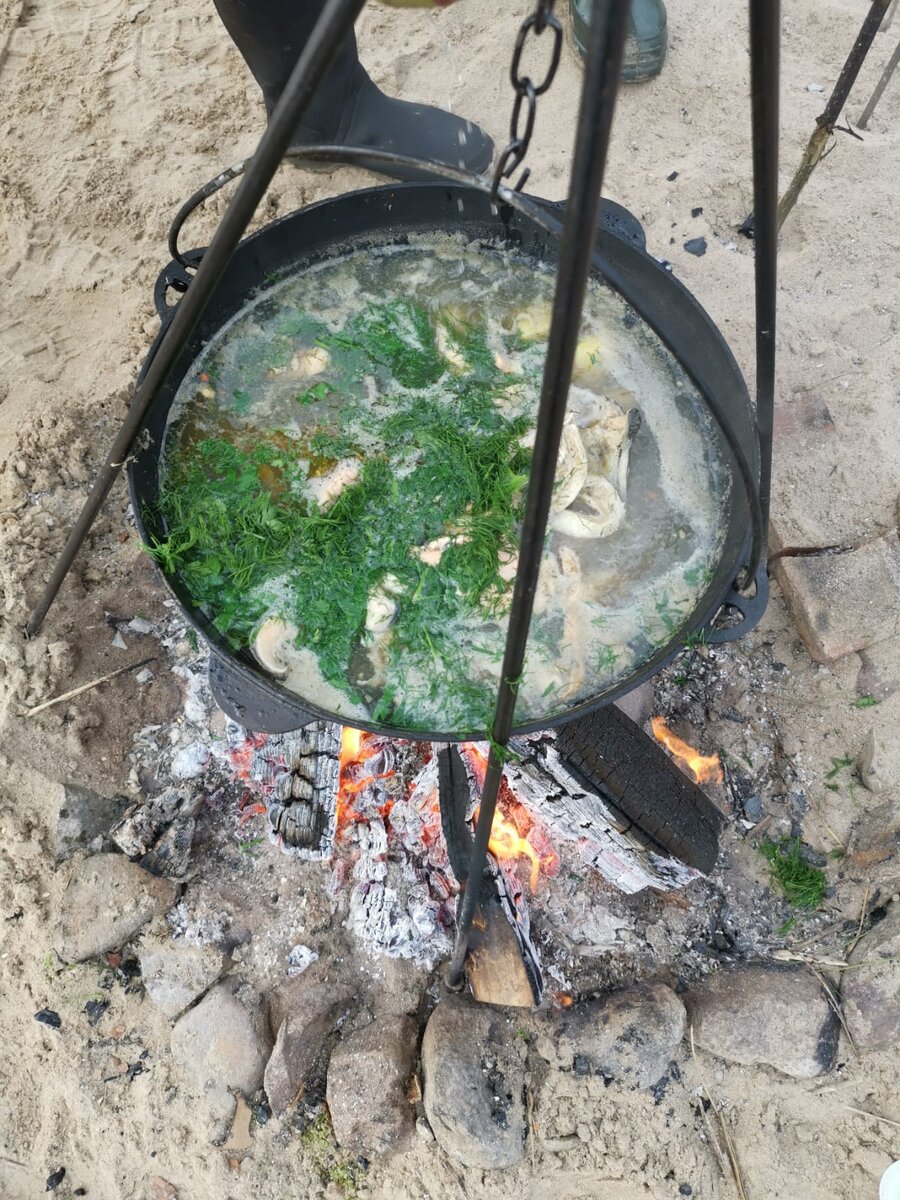 Уха́ — русское национальное жидкое блюдо из рыбы, Рыбный суп.