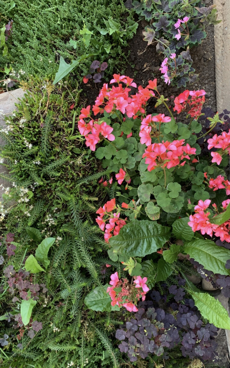 Из личного архива