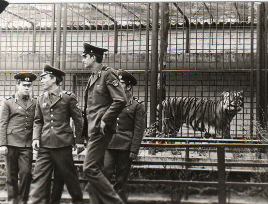 Кто в армии служил - в цирке не смеётся!