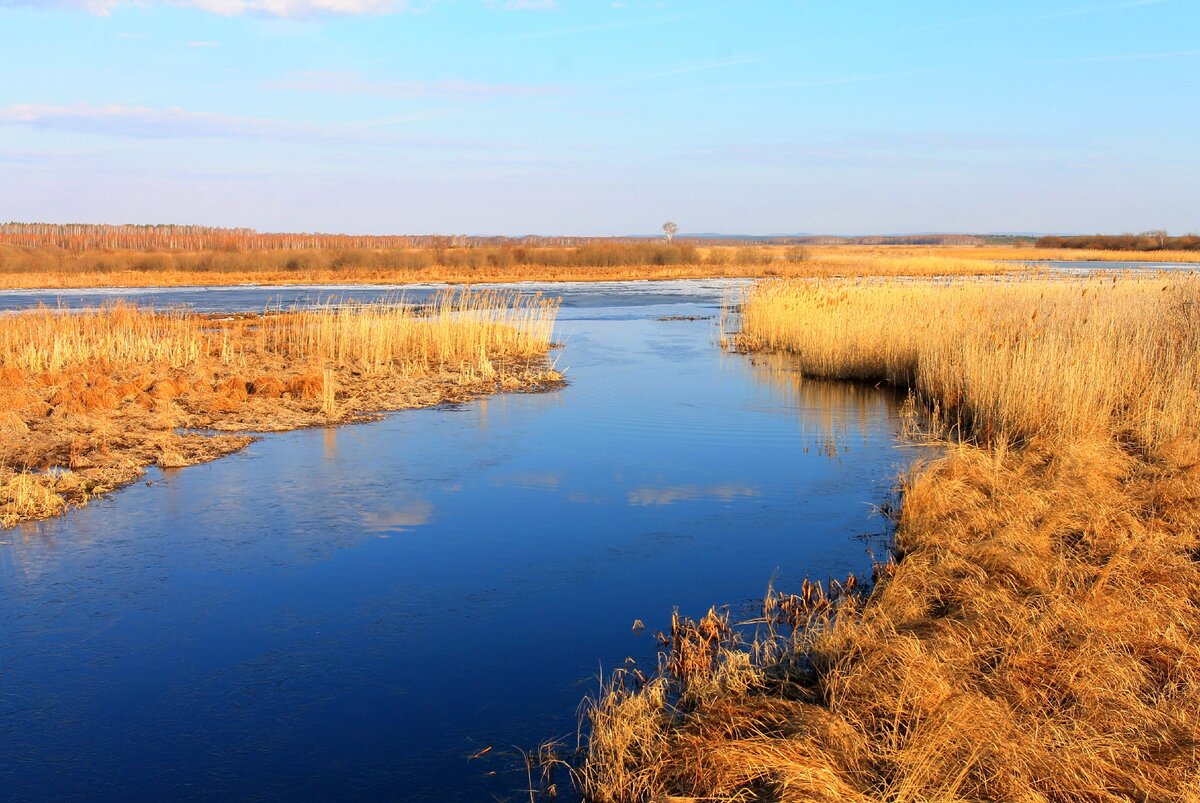 Вид в сторону озера Синара от пруда близ Воскресенского