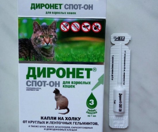 
Препарат категорически запрещен при индивидуальной непереносимости составляющих компонентов