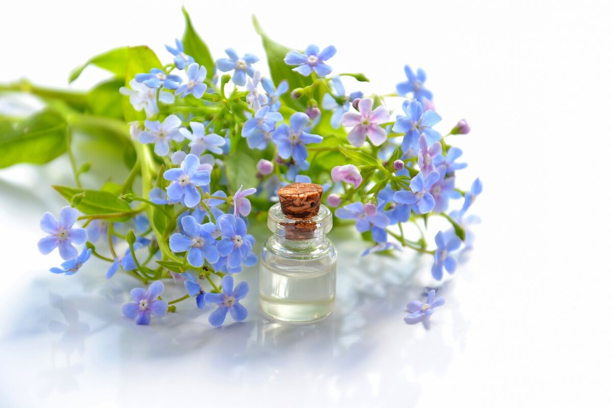 Фото: Essential Oil