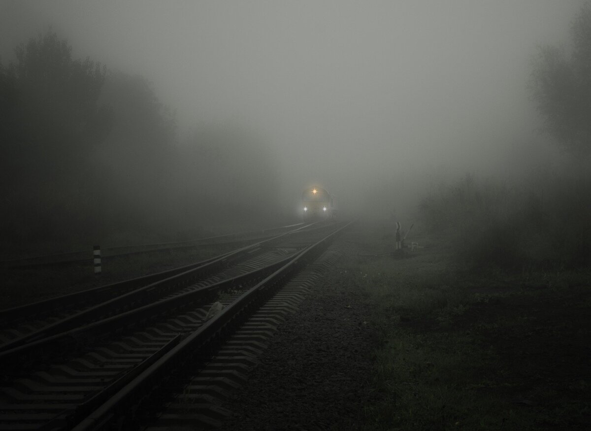 Изображение взято с сайта https://pixabay.com/