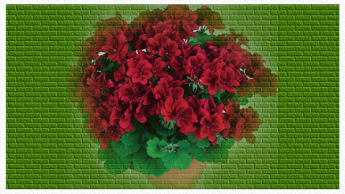 такая красота!!!