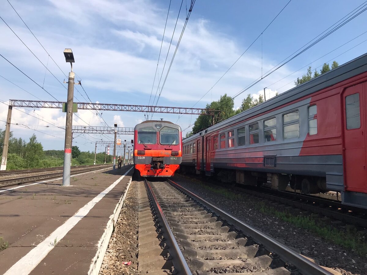 Электрички подсолнечная березки дачные сегодня