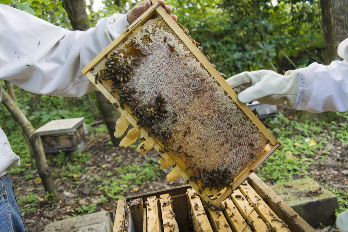 Фото с сайта pxhere.com. Ссылка на фото: https://clck.ru/R2uwY