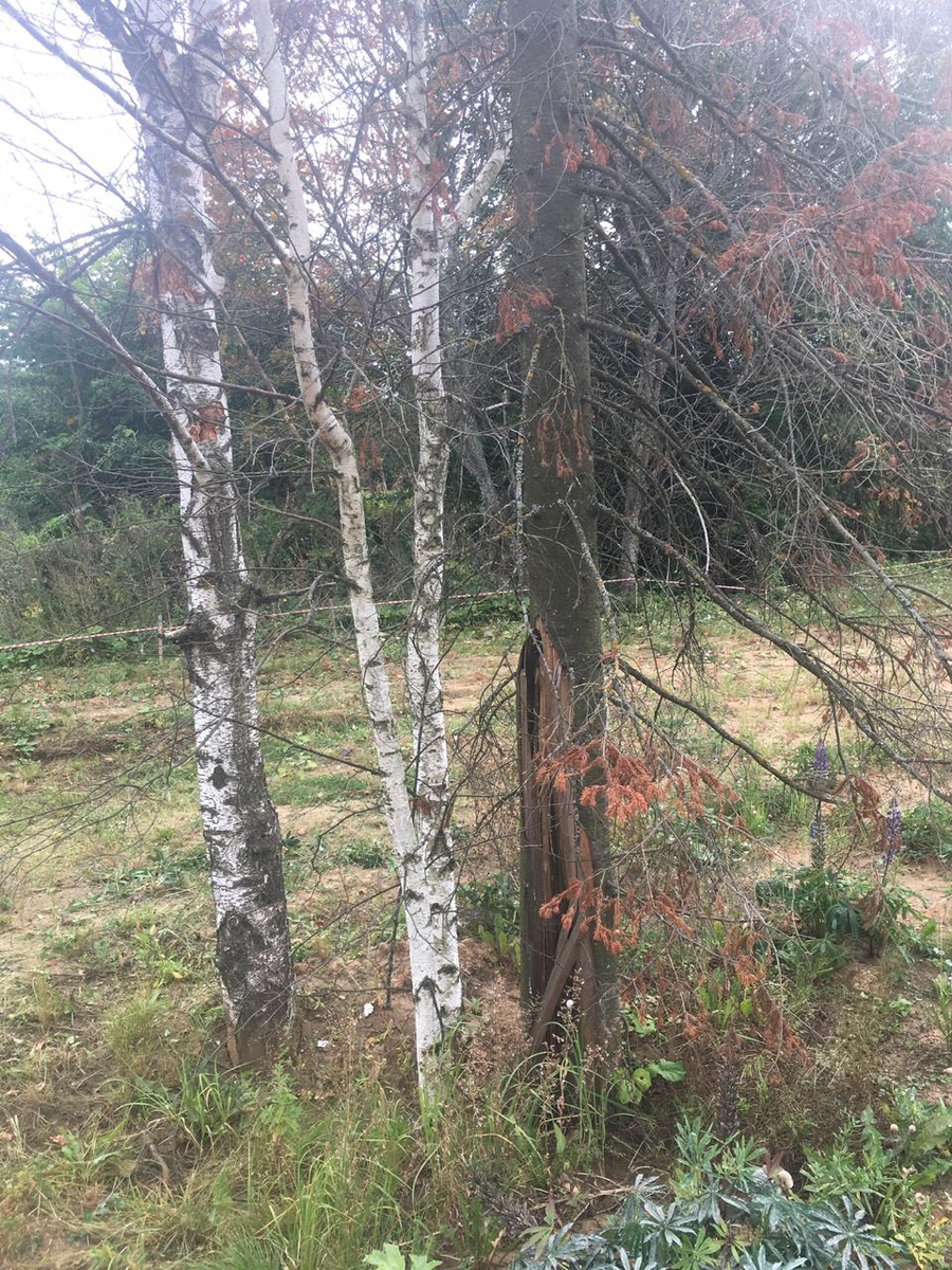 фронт работ