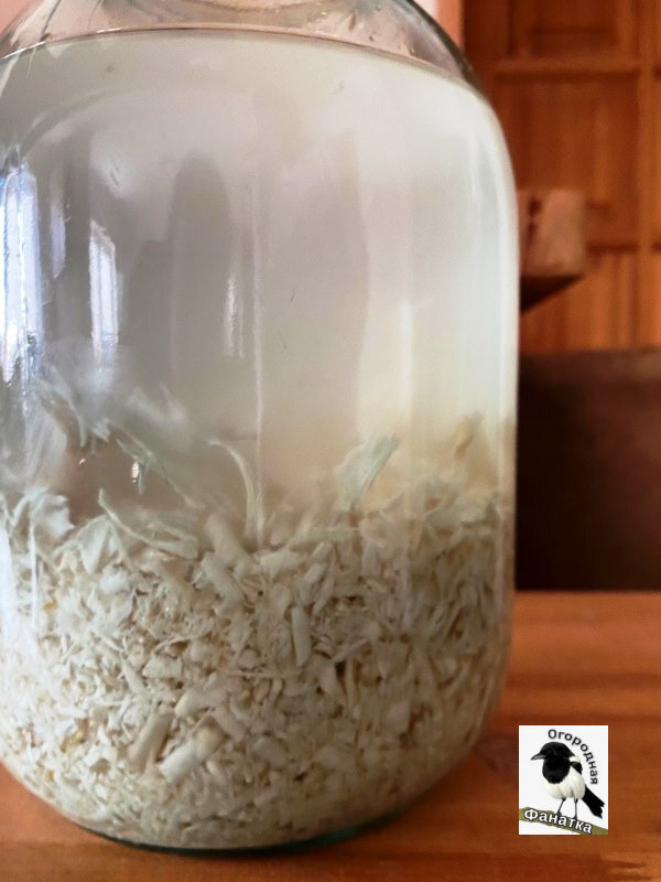 Можно оставить старую порцию хрена, но добавить немного свеженатертого хрена. Именно поэтому в банке на данный момент такое большое количество хрена. Изначально было в половину меньше