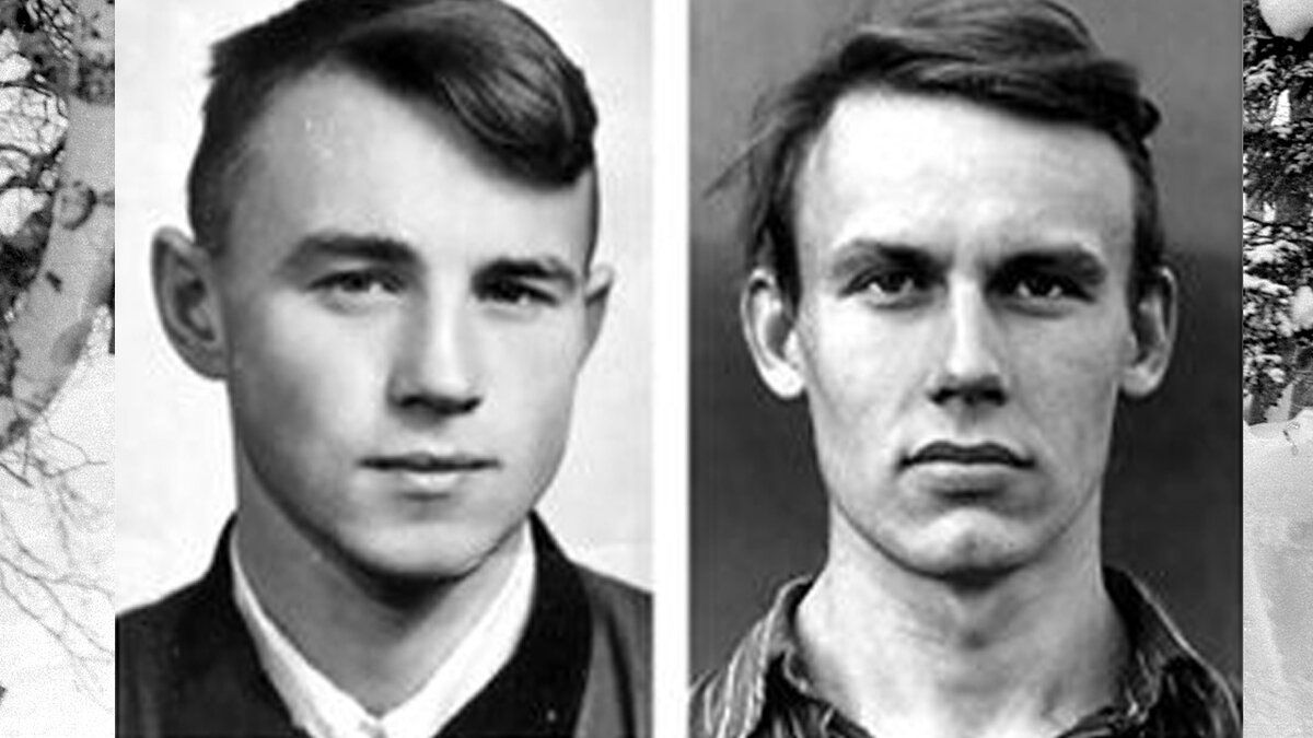 Битва экстрасенсов дятлов