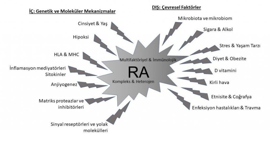 Şekil – 1 / Romatoid Artrit Çevresel Faktörler